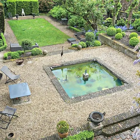 Little - Colas * Lila